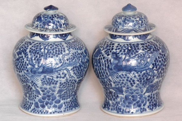 Pair of Chinese Qing Blue and White Porcelain Jar Kangxi , 17C